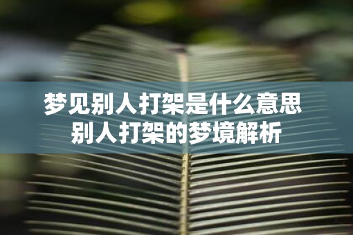 梦见别人打架是什么意思 别人打架的梦境解析