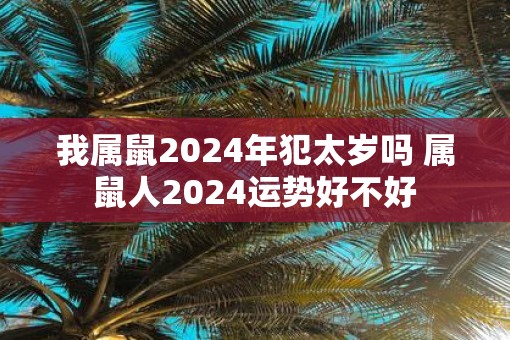 我属鼠2024年犯太岁吗 属鼠人2024运势好不好