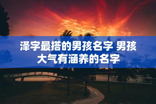 泽字最搭的男孩名字 男孩大气有涵养的名字