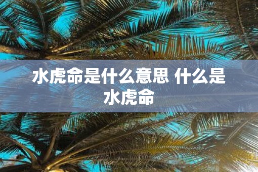 水虎命是什么意思 什么是水虎命