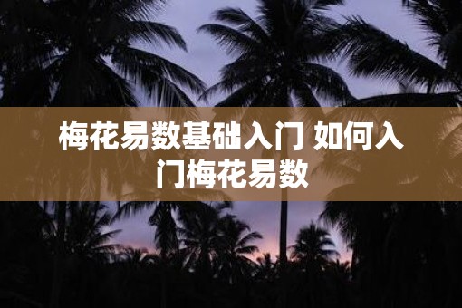 梅花易数基础入门 如何入门梅花易数