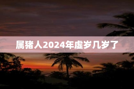 属猪人2025年虚岁几岁了