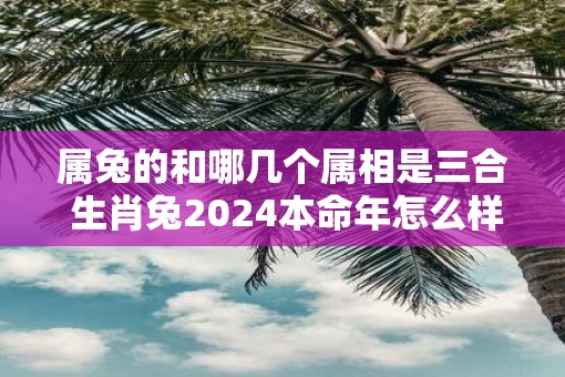 属兔的和哪几个属相是三合 生肖兔2025本命年怎么样
