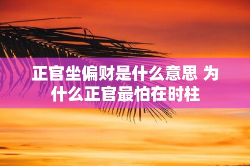 正官坐偏财是什么意思 为什么正官最怕在时柱