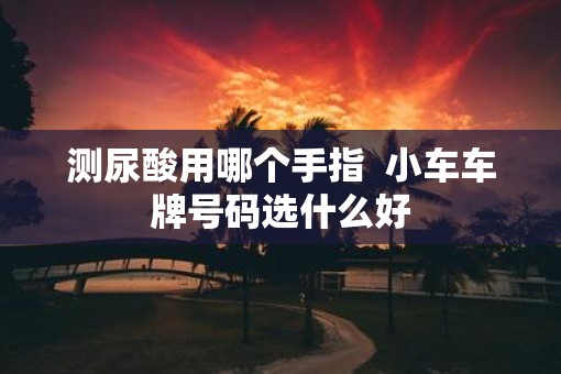 测尿酸用哪个手指  小车车牌号码选什么好