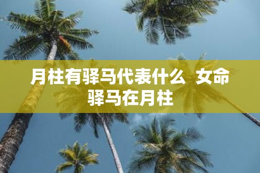 月柱有驿马代表什么  女命驿马在月柱