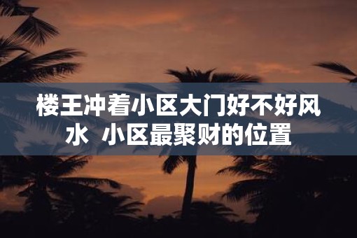 楼王冲着小区大门好不好风水  小区最聚财的位置