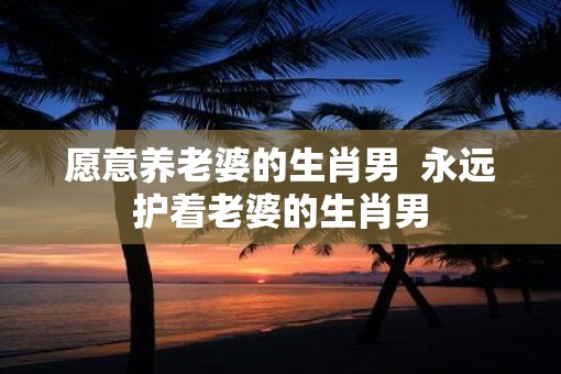 愿意养老婆的生肖男  永远护着老婆的生肖男