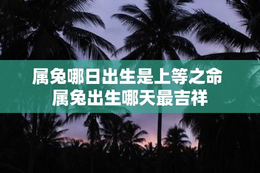 属兔哪日出生是上等之命 属兔出生哪天最吉祥