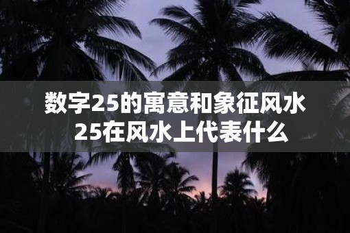 数字25的寓意和象征风水  25在风水上代表什么
