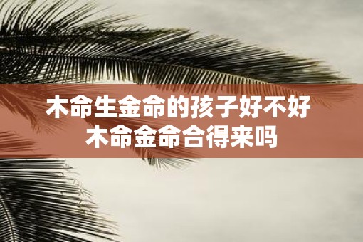 木命生金命的孩子好不好 木命金命合得来吗