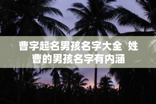 曹字起名男孩名字大全  姓曹的男孩名字有内涵