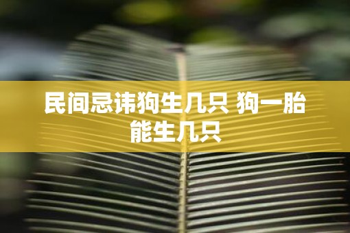 民间忌讳狗生几只 狗一胎能生几只