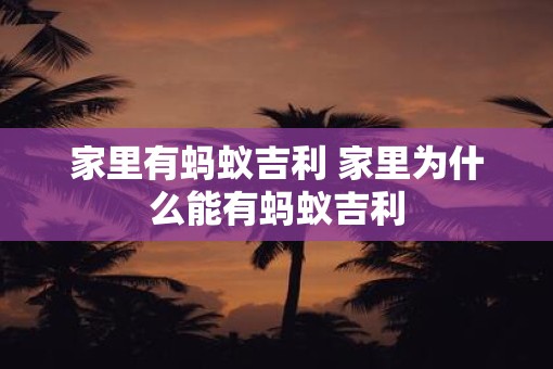 家里有蚂蚁吉利 家里为什么能有蚂蚁吉利
