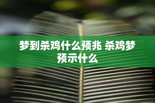 梦到杀鸡什么预兆 杀鸡梦预示什么