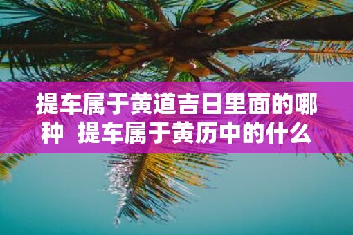 提车属于黄道吉日里面的哪种  提车属于黄历中的什么意思