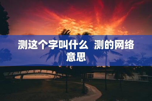 测这个字叫什么  测的网络意思