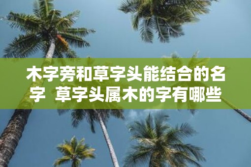 木字旁和草字头能结合的名字  草字头属木的字有哪些取名