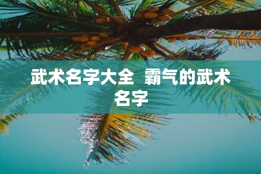 武术名字大全  霸气的武术名字