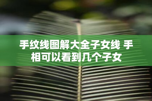 手纹线图解大全子女线 手相可以看到几个子女