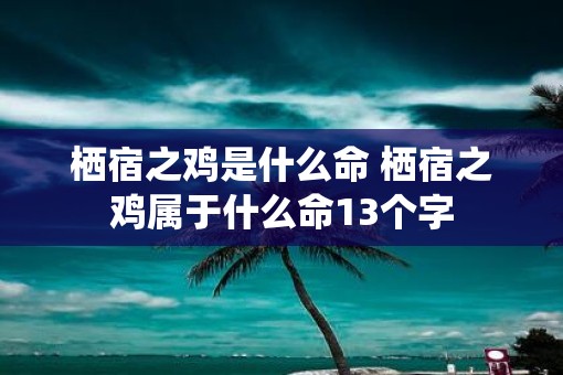 栖宿之鸡是什么命 栖宿之鸡属于什么命13个字