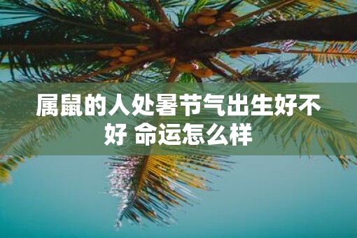 属鼠的人处暑节气出生好不好 命运怎么样