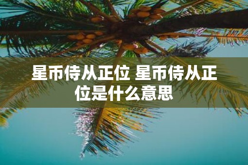 星币侍从正位 星币侍从正位是什么意思