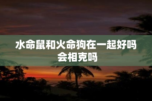 水命鼠和火命狗在一起好吗 会相克吗