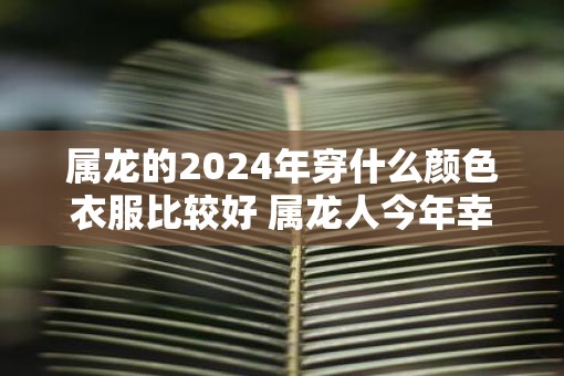 属龙的2025年穿什么颜色衣服比较好 属龙人今年幸运颜色