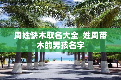 周姓缺木取名大全  姓周带木的男孩名字