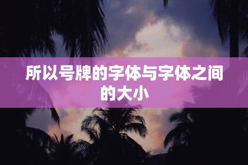 所以号牌的字体与字体之间的大小