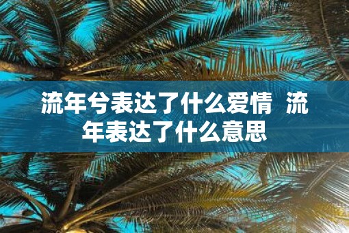 流年兮表达了什么爱情  流年表达了什么意思