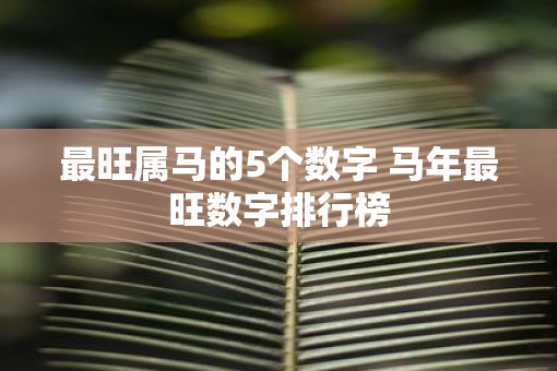最旺属马的5个数字 马年最旺数字排行榜