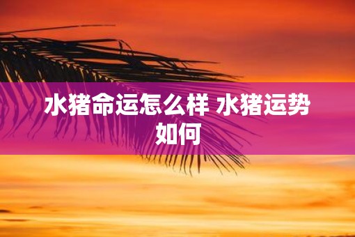 水猪命运怎么样 水猪运势如何