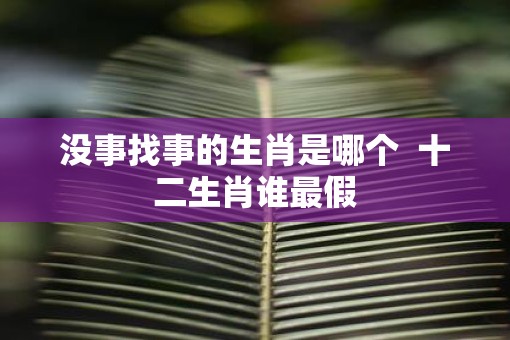 没事找事的生肖是哪个  十二生肖谁最假