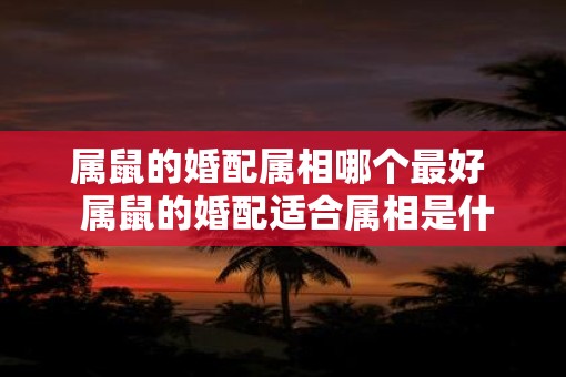 属鼠的婚配属相哪个最好  属鼠的婚配适合属相是什么