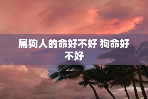 属狗人的命好不好 狗命好不好