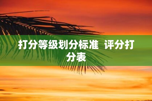 打分等级划分标准  评分打分表
