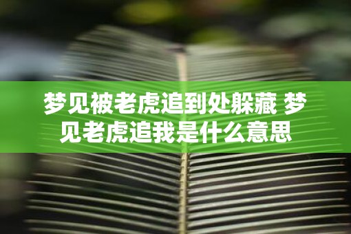 梦见被老虎追到处躲藏 梦见老虎追我是什么意思 梦见被老虎追到处躲藏 梦见老虎追我是什么意思