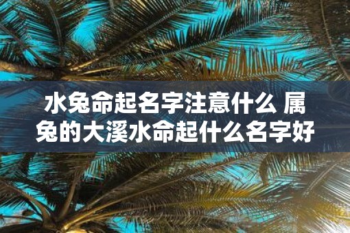 水兔命起名字注意什么 属兔的大溪水命起什么名字好 水兔命起名字注意什么 属兔的大溪水命起什么名字好