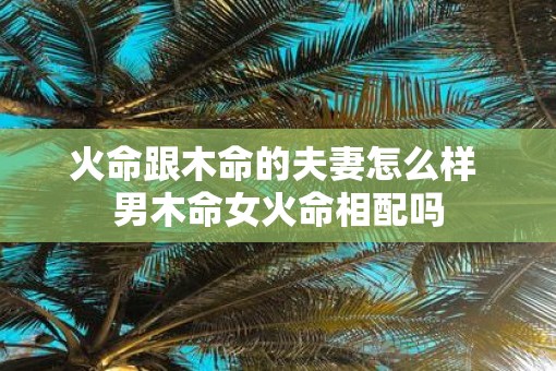 火命跟木命的夫妻怎么样 男木命女火命相配吗