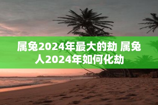 属兔2024年最大的劫 属兔人2024年如何化劫