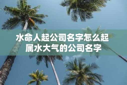 水命人起公司名字怎么起 属水大气的公司名字