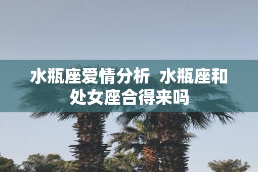 水瓶座爱情分析  水瓶座和处女座合得来吗