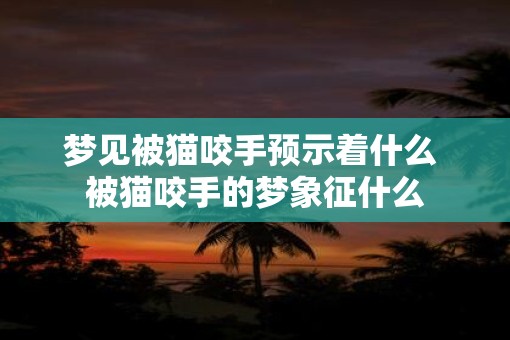 梦见被猫咬手预示着什么 被猫咬手的梦象征什么