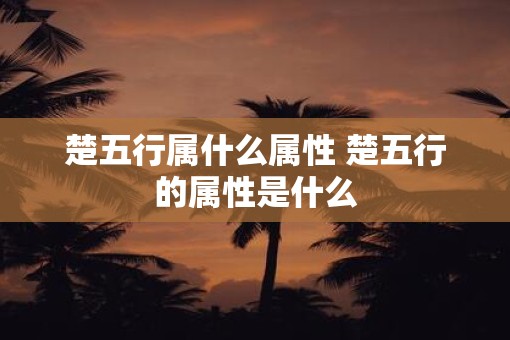 楚五行属什么属性 楚五行的属性是什么