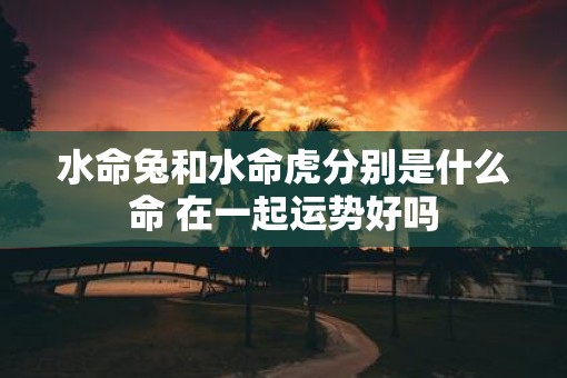 水命兔和水命虎分别是什么命 在一起运势好吗