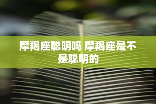 摩羯座聪明吗 摩羯座是不是聪明的