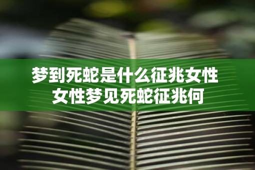 梦到死蛇是什么征兆女性 女性梦见死蛇征兆何 梦到死蛇是什么征兆女性 女性梦见死蛇征兆何