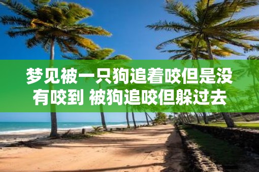 梦见被一只狗追着咬但是没有咬到 被狗追咬但躲过去了是什么意思